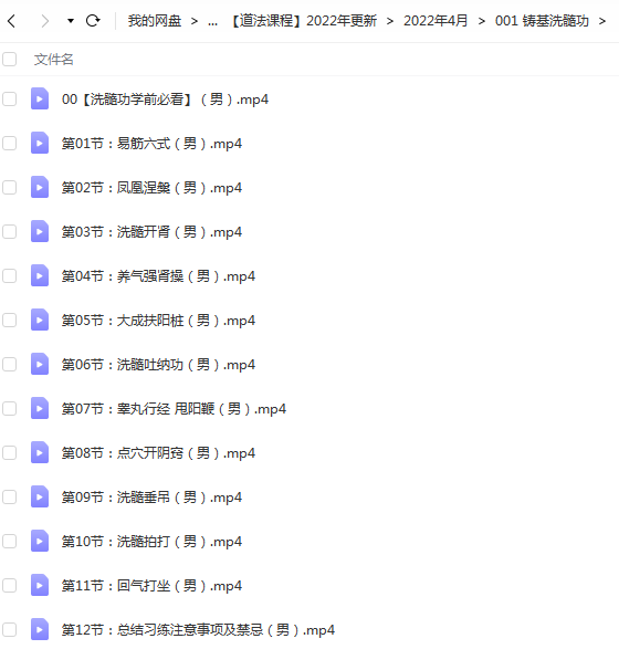 铸基养生洗髓功直播教材十二节13个教学视频全套完整 强肾超牛 百度云-优选易学