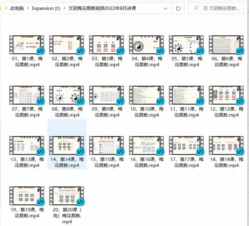 文玥梅花易数系统班 20集 百度网盘下载-优选易学