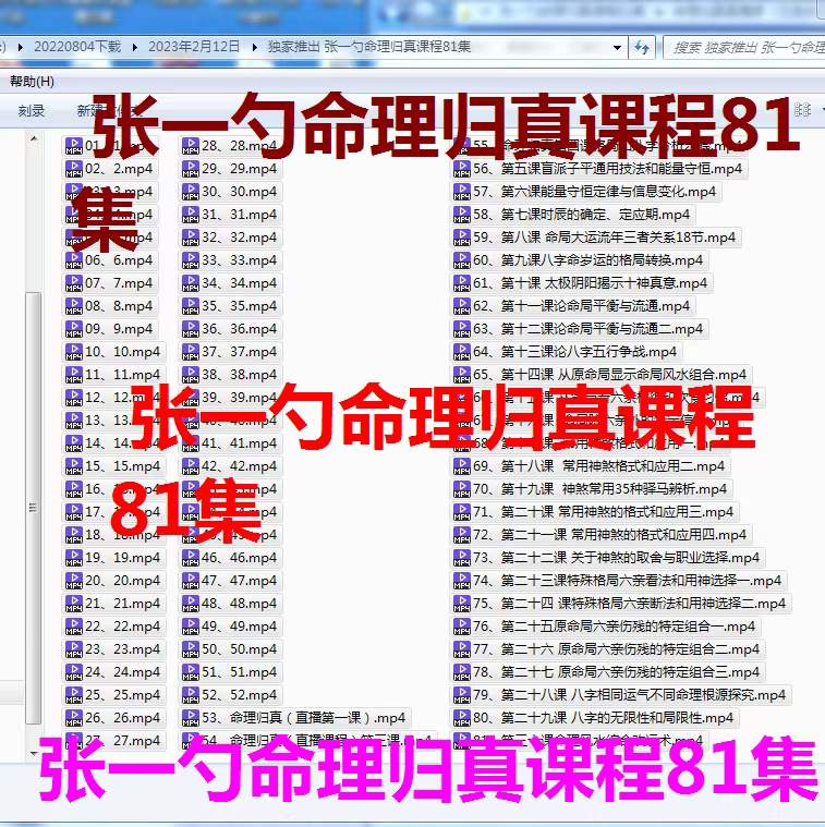 张一勺命理归真全套课程81集视频-优选易学