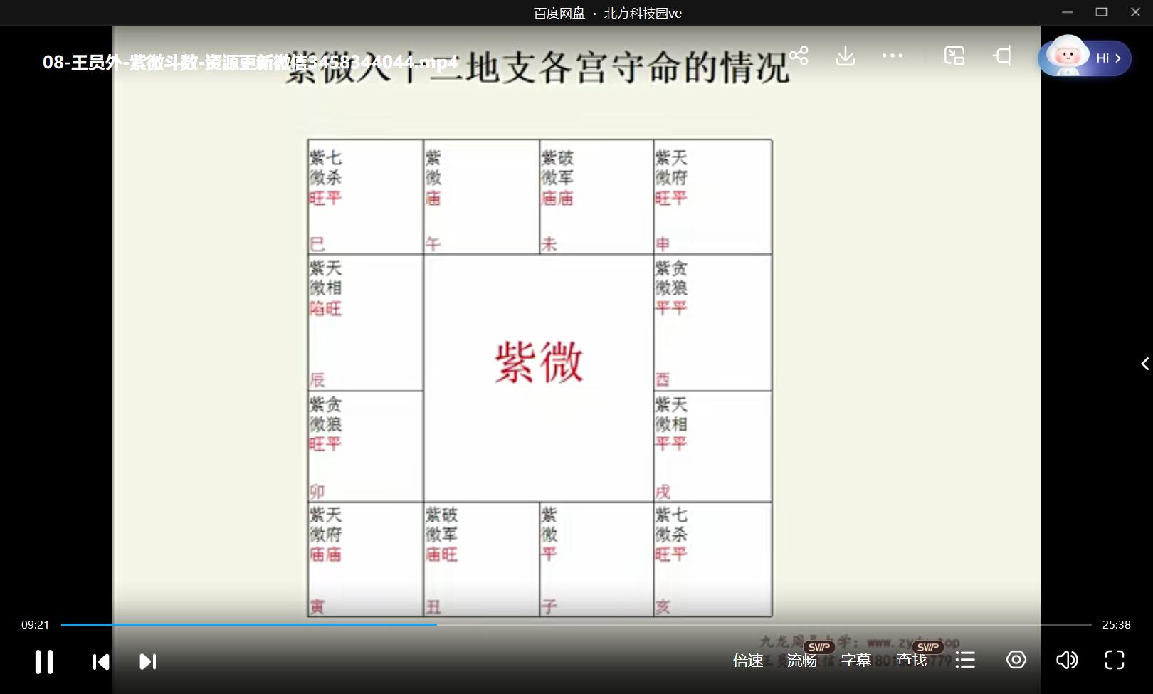 九龙道长推荐 王员外 紫微斗数课程40集视频-优选易学