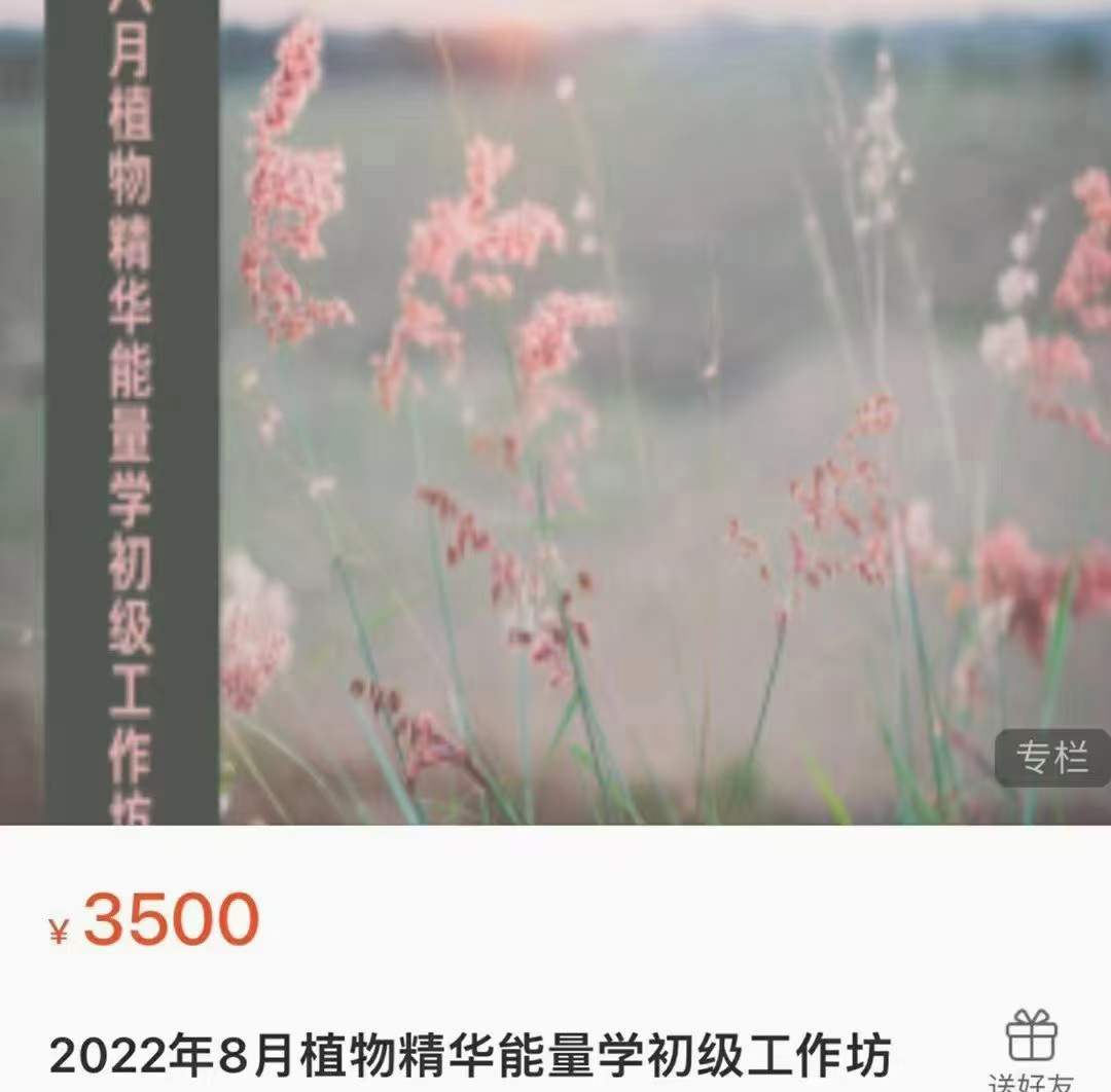 2022年8月植物精华能量学初级工作坊 10集-优选易学