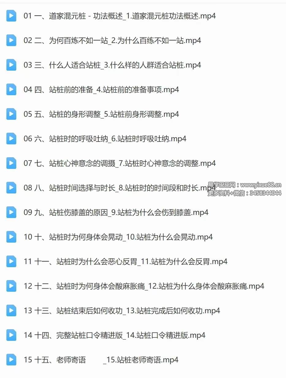 武当李资通 道家混元桩-线上教学课程15集-优选易学